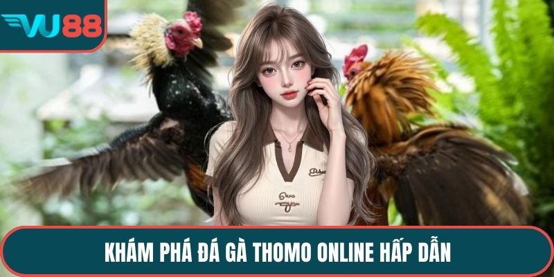 Khám phá đá gà thomo online hấp dẫn