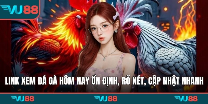 Link xem đá gà hôm nay